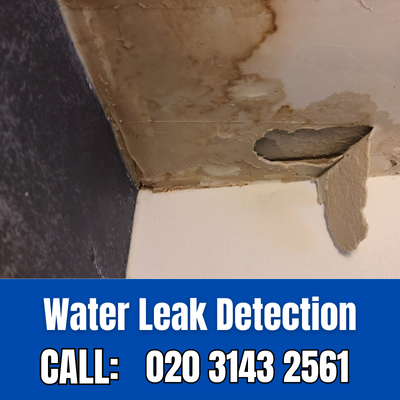 Expert Water Leak Detection Services in Fulwell | Fulwell Leak Detection